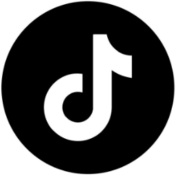 TikTok Logo